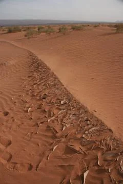 Sand crust 写真素材
