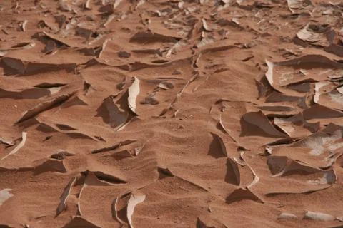 Sand crust 写真素材