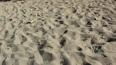 Sand Desert Stock Footage 20458003