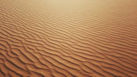 Sand in desert Stock Footage 281168324
