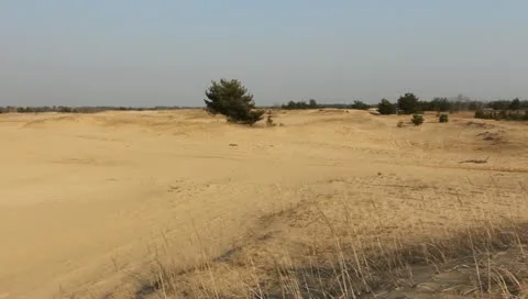 Sand desert landscape Stock Footage 10868180