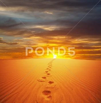 Sand desert Stock Photos