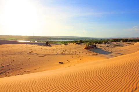 Sand desert Stock Photos