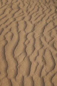 The sand in the desert Foto stock