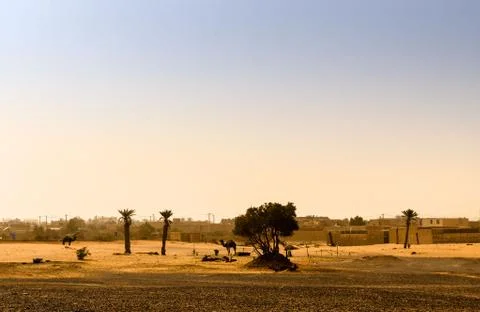 Sand desert sets in, desert cemetery, sahara, morocco Stock Photos