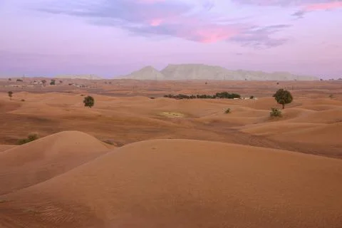 Sand desert sunset view, UAE Stock Photos