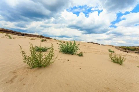 Sand desert view Stock Photos
