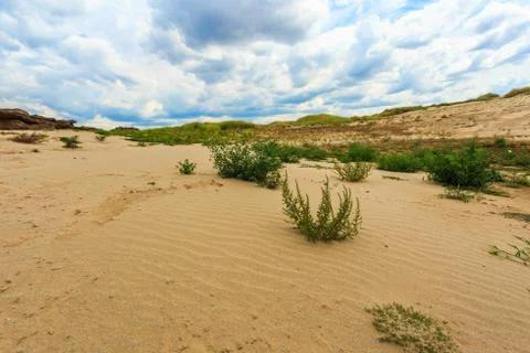 Sand desert view Foto stock