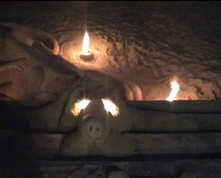 Sand Dog Stock-Footage 90969