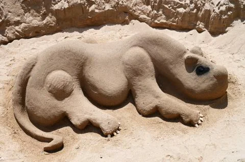 Sand dog Stock Photos