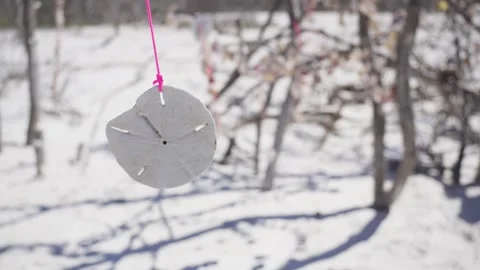 Sand dollar hanging on pink string above bright sandy beach Stock Footage 312326399