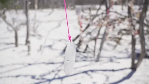 Sand dollar rotating on pink string above white sandy beach Stock Footage 312325970