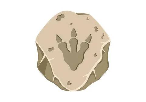 Sand dollar shell with starfish on sandy beach Stock Illustration
