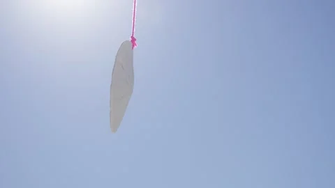 Sand dollar spinning gently on red string beneath bright blue sky Stockbeeldmateriaal 312612307