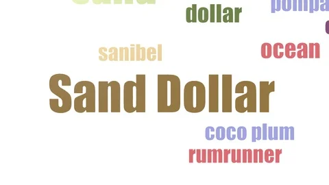 Sand Dollar Tag Cloud Animated Isolated On White Stock Footage 107247847