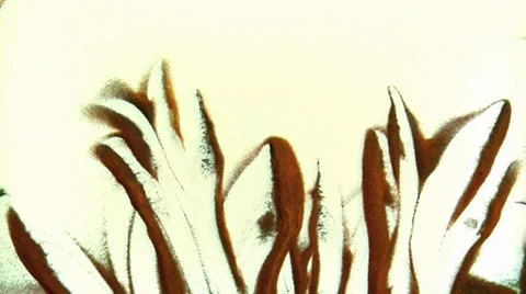 Sand drawing of flowers Stock Footage 32965319