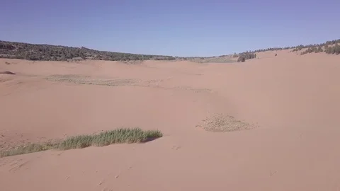 Sand dune 8 動画素材 119944705