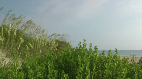 Sand dune and sea Stock Footage 36753223
