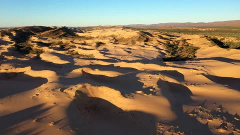 Sand dune in an arid area Stock Footage 153228545