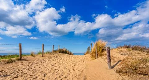 Sand dune at the beach Stock Photos