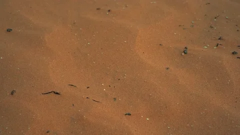 Sand Dune. Close Up View Stock Footage 157033796
