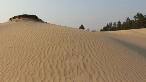 Sand dune in a desert Stock Footage 10868239