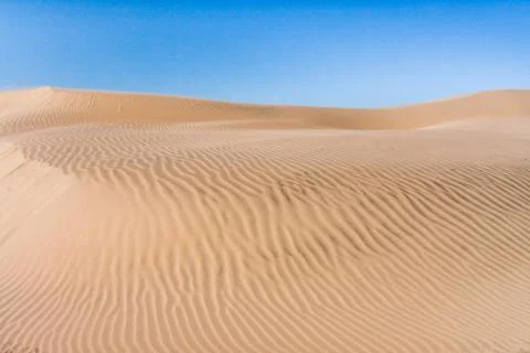 Sand dune of desert Stock Photos