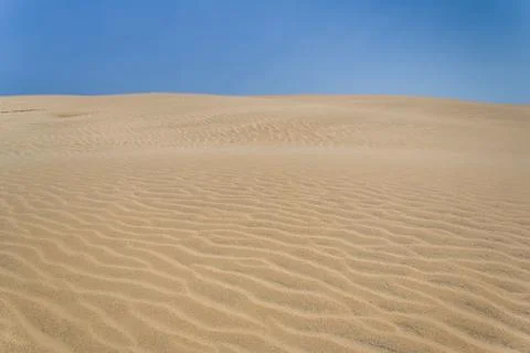 Sand dune of desert Stock Photos