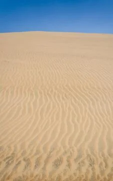 Sand dune of desert Stock Photos