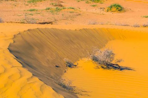 Sand dune in desert Stock-Fotos