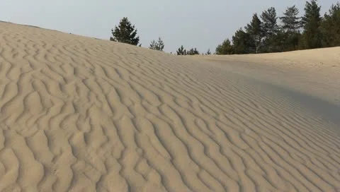 Sand dune in a desert by a wind Stock Footage 10868245