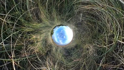 Sand dune with dune grass on the North Sea coast, Denmark, VR Stock Footage 117721707
