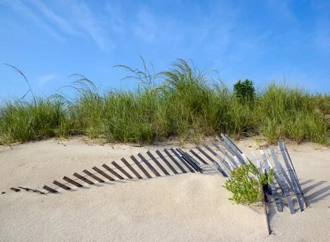 Sand dune with dune grass Stock Photos