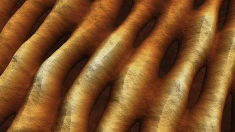 Sand Dune Field Digital Elevation Model Desert Hypsometric Tint Hillshade Stock Footage 343383330
