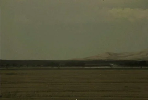 Sand Dune Vídeo Stock 357096