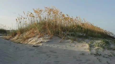 Sand Dune 스톡 동영상 11464166