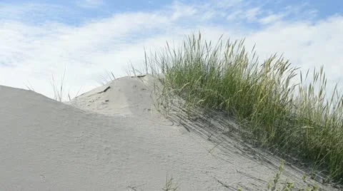 Sand dune Stock Footage 18011060
