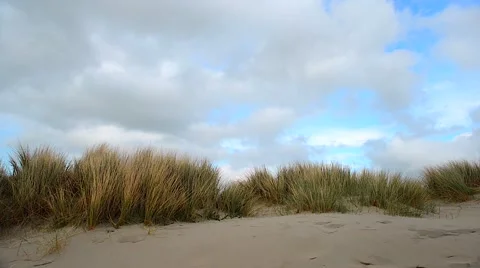 Sand Dune Stock Footage 45718715
