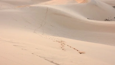 Sand dune Video stock 92064971