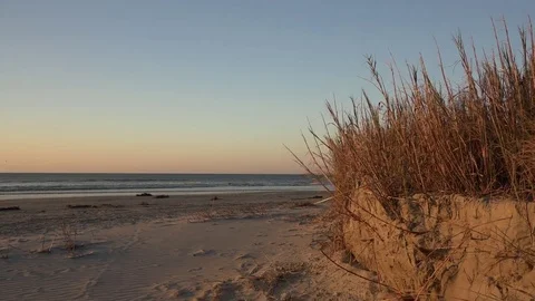 Sand dune hurricane damage. Stock Footage 71742370