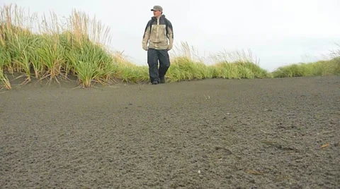 Sand Dune Journey Stock Footage 10884811