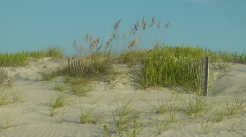 Sand dune landscape Stock-Footage 36957530
