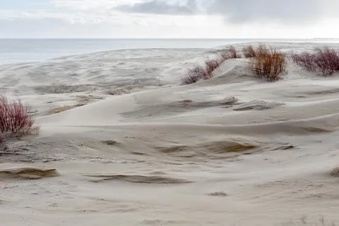 Sand dune landscape Stock Photos