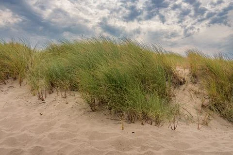 Sand dune landscape Stock Photos