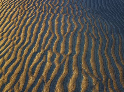 SAND DUNE LOW LIGHT Foto stock