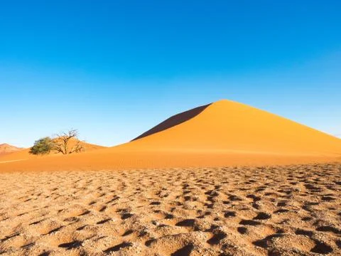 Sand dune in Namibia, Dune 45, Sossusvlei, Namibia Stock Photos