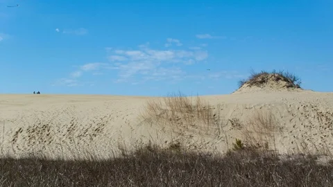 Sand Dune at Outer Banks Jockey's Ridge State Park Video stock 73027313