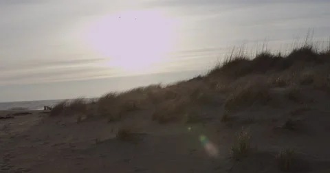 Sand Dune Outerbanks Stock Footage 43985944