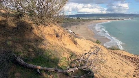 Sand Dune Overlooking Beach and Ocean Stock-Footage 330982442