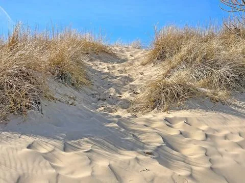 Sand Dune Path In Beach Grass Stock Photos